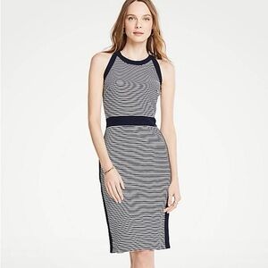 Ann Taylor Knit Stripe Sheath Size 0P